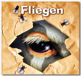 Fliegen